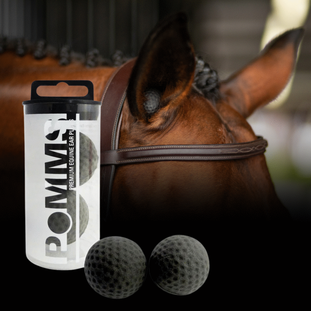 POMMS Premium Ear Plugs