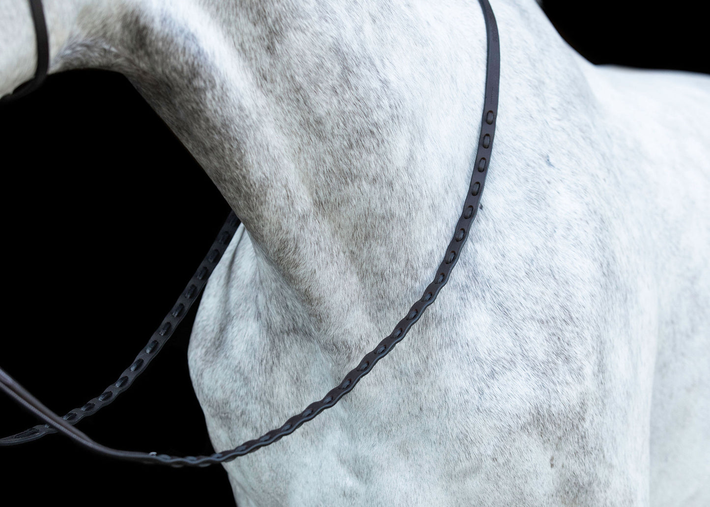 ProSeries Perfect Reins