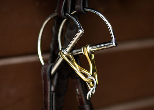 ProSeries Derby Bit - D-Ring