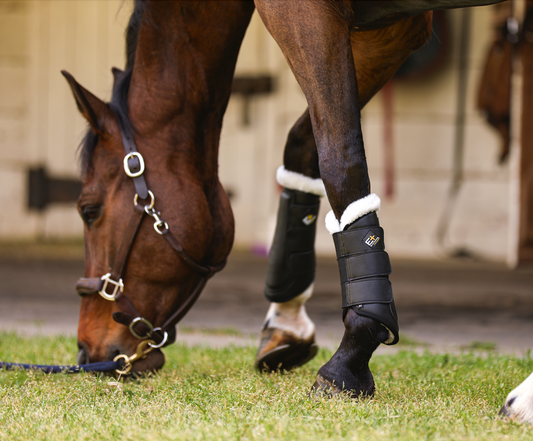 ProSeries Sport Boots - Black