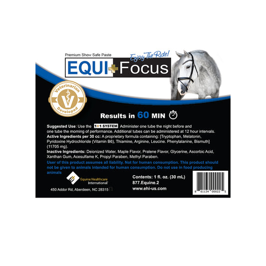 EQUI+Focus Box of Six