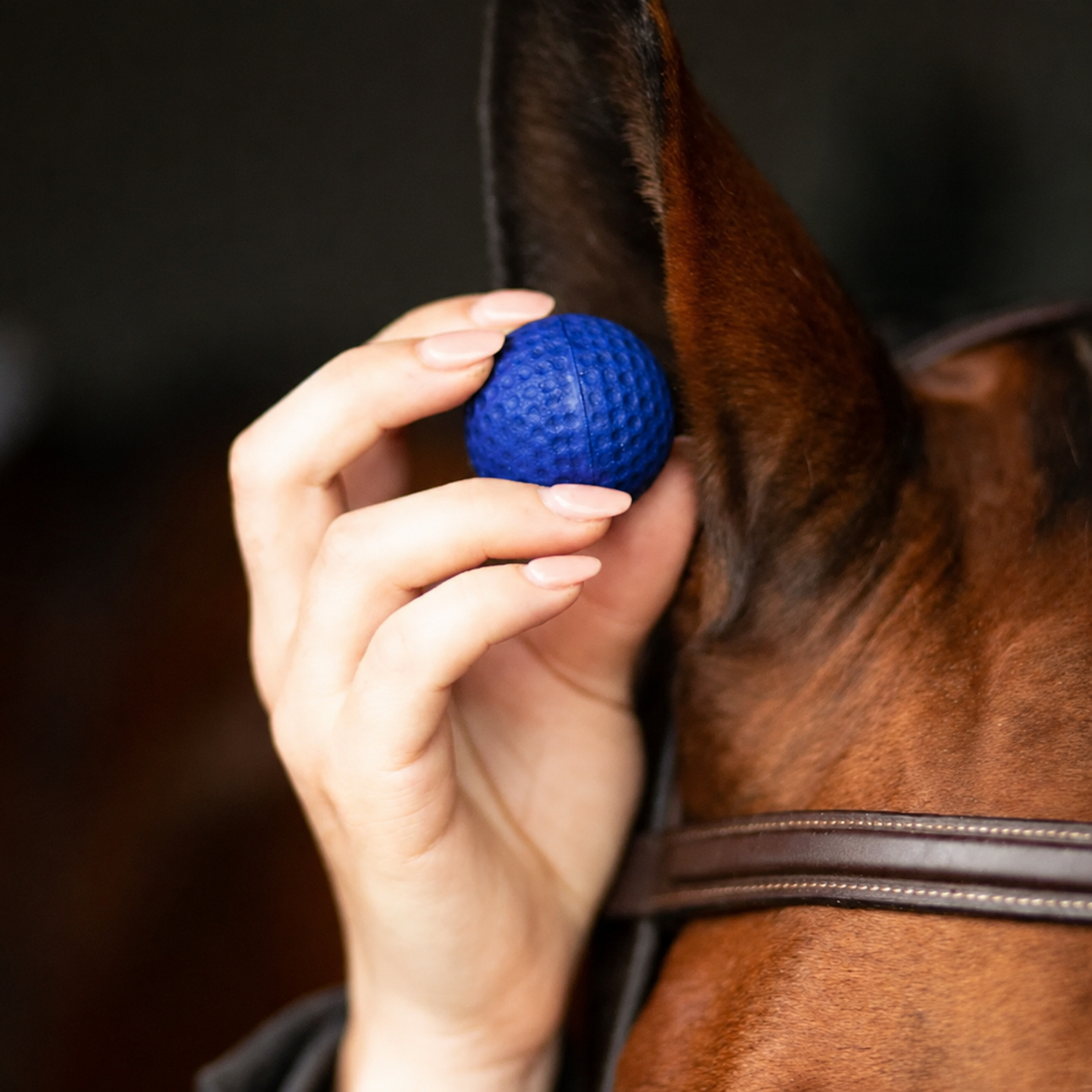 Royal Blue Horse Pomms